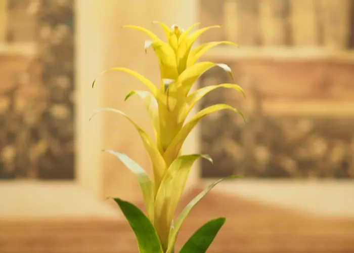 Hotel Santa Croce Florença