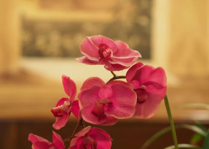 Santa Croce Hotel 2*