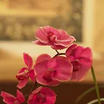 Santa Croce Hotel 2*